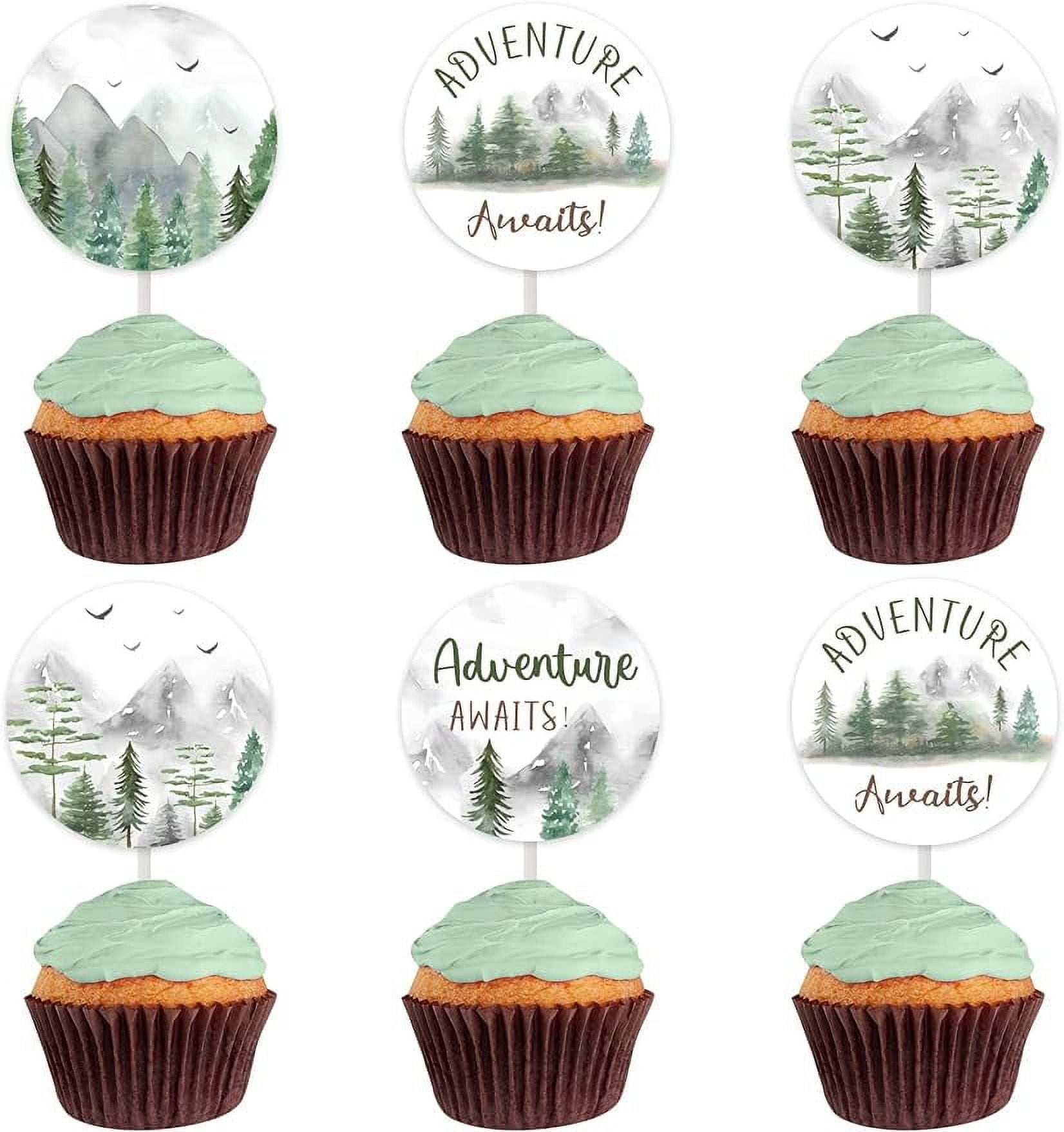 adventure-awaits-baby-shower-decorations-12pcs-cupcake-toppers-mountain-cake-cupcake-picks-let-the-adventure-begin-bon-voyage-away-travel-themed-wedding-retirement-party-supplies-walmart-com
