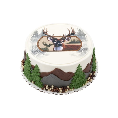 Adventure Awaits Round Cake, 1 Count