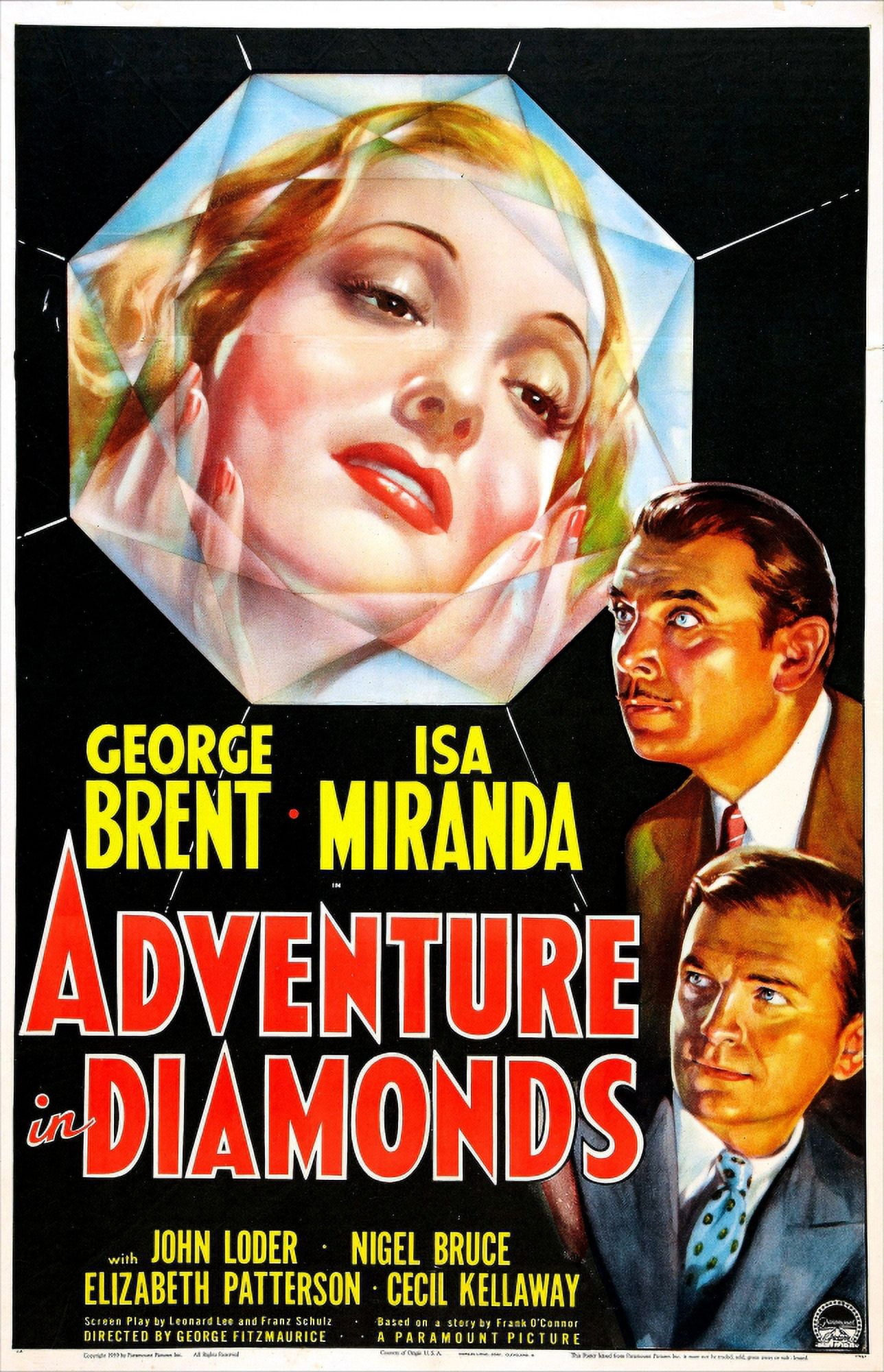 Adventure In Diamonds U Canvas Art - (24 x 36)
