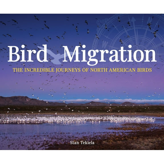 Wildlife Appreciation Bird Migration: The Incredible Journeys of North American Birds, (Paperback)