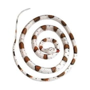Adventure Planet Rubber Banded Rock Rattlesnake ONE