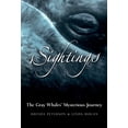 thumbnail image 1 of Pre-Owned Sightings : The Gray Whales' Mysterious Journey (Paperback) 9780792241027, 1 of 1