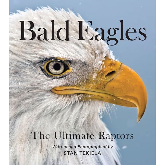 Favorite Wildlife Bald Eagles: The Ultimate Raptors, (Paperback)
