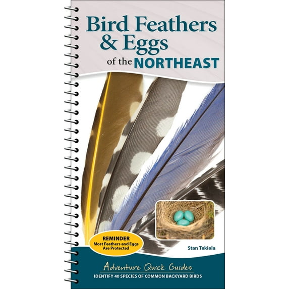 Adventure Quick Guides Bird Feathers & Eggs of the Northeast: Identify 40 Species of Common Backyard Birds, (Spiral-Bound)