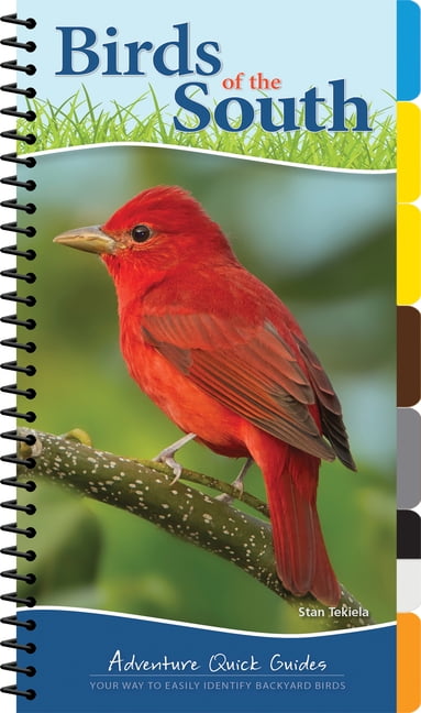 STAN TEKIELA Adventure Quick Guides Birds of the South: Your Way to Easily Identify Backyard Birds, (Spiral-Bound)