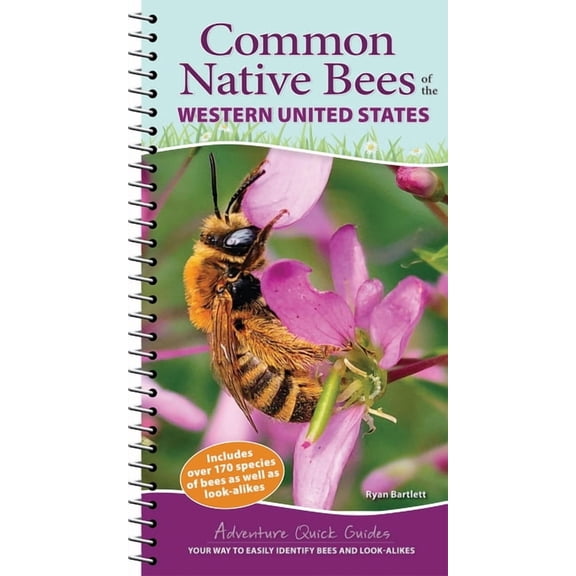 Adventure Quick Guides Common Native Bees of the Western United States: Your Way to Easily Identify Bees and Look-Alikes, (Spiral-Bound)