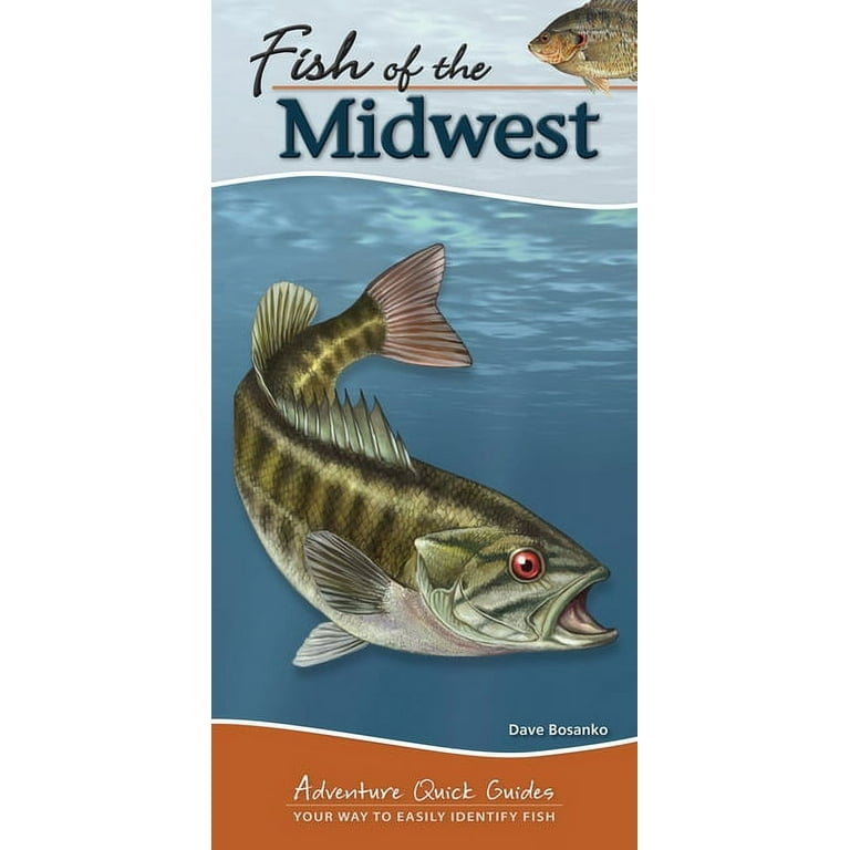 My Awesome Guide to Freshwater Fishing: Essential Techniques and Tools for  Kids (My Awesome Field Guide for Kids): Paxton, John: 9781648768903:  : Books