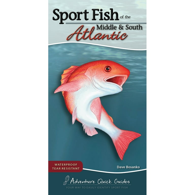 Sport Fish of the Middle & South Atlantic - AdventureKEEN Shop
