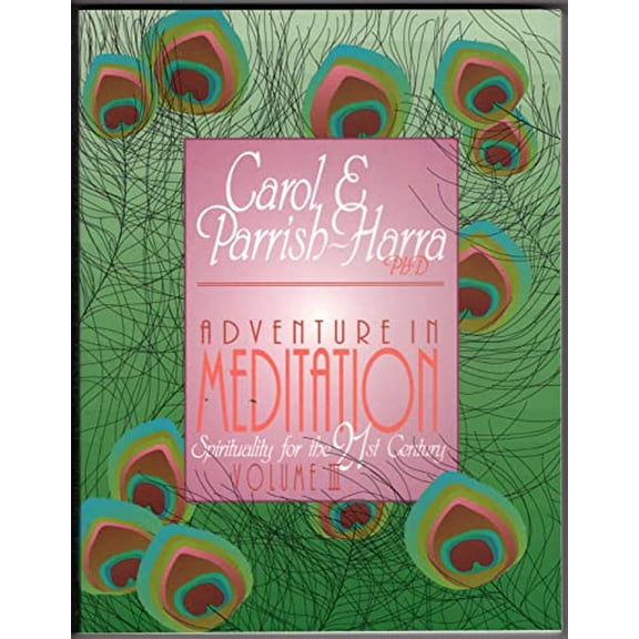 Pre-Owned Adventure in Meditation: Spirituality for the 21st Century: 3 (Paperback) 094502715X 9780945027157