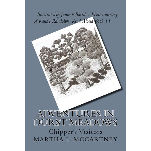 Adventures in Durst Meadows Adventures In Durst Meadows: Chipper's Visitors, Book 11, (Paperback)