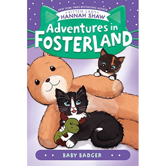 Pre-Owned Baby Badger (Paperback) 1665925558 9781665925556