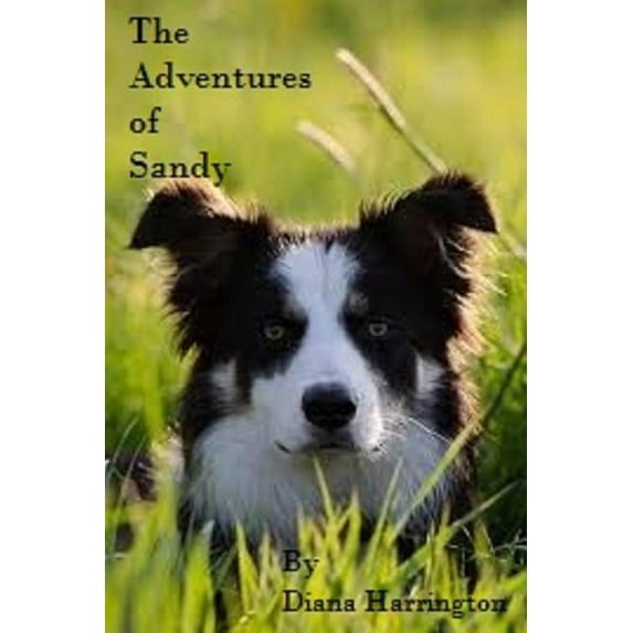 Adventures of Sandy, Part I, (Paperback)