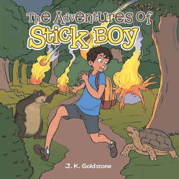 The Adventures of Stick Boy (Paperback) by J K Goldstone