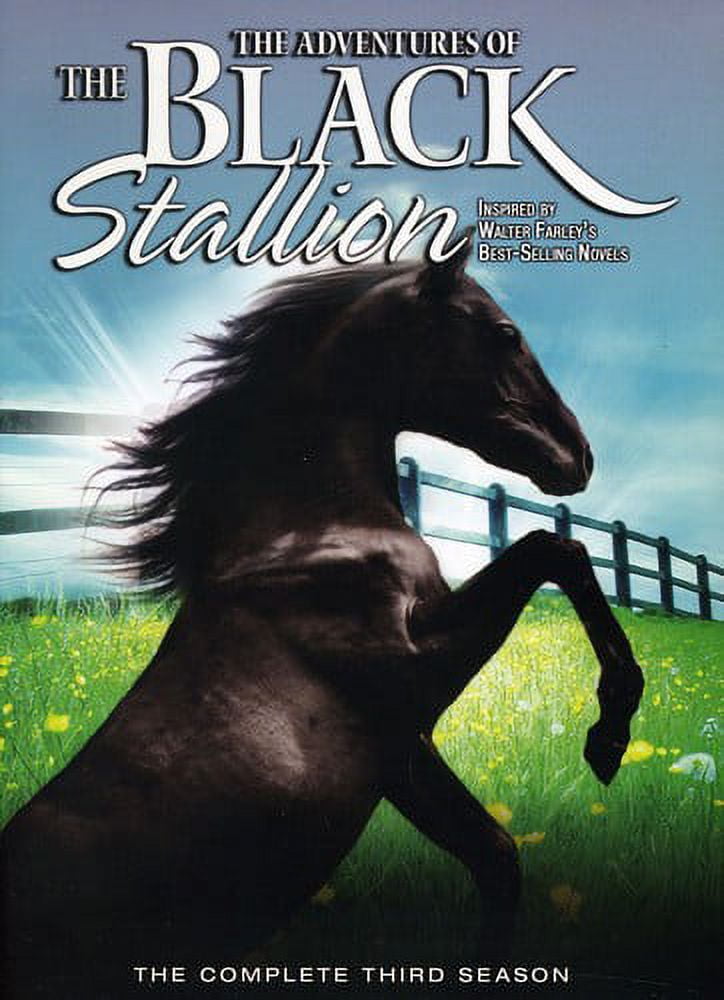 Adventures of the Black Stallion Season 3 - Walmart.com