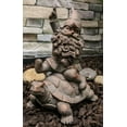 thumbnail image 1 of Adventurous Mr Gnome Sitting On Wild Rodeo Giant Tortoise Garden Figurine Decor, 1 of 9