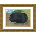thumbnail image 1 of Advertisement 18x14 Gold Ornate Wood Framed with Double Matting Museum Art Print Titled - Pigs and Pork: Champion Sow, 1 of 4