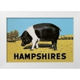 thumbnail image 1 of Advertisement 32x23 White Modern Wood Framed Museum Art Print Titled - Pigs and Pork: Hampshires, 1 of 4