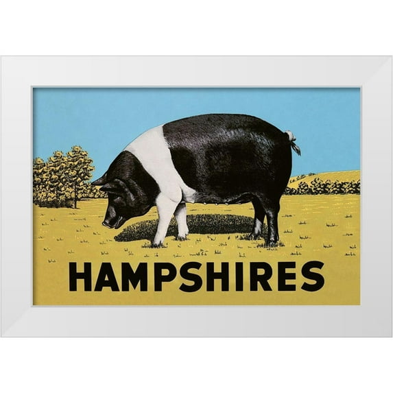 Advertisement 32x23 White Modern Wood Framed Museum Art Print Titled - Pigs and Pork: Hampshires