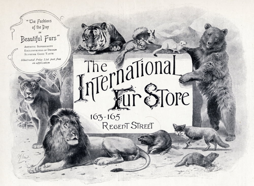 Advertisement For The International Fur Store From The Connoisseur A Magazine For Collectors Printed November 1902 Canvas Art - Ken Welsh Design Pics (34 x 24)