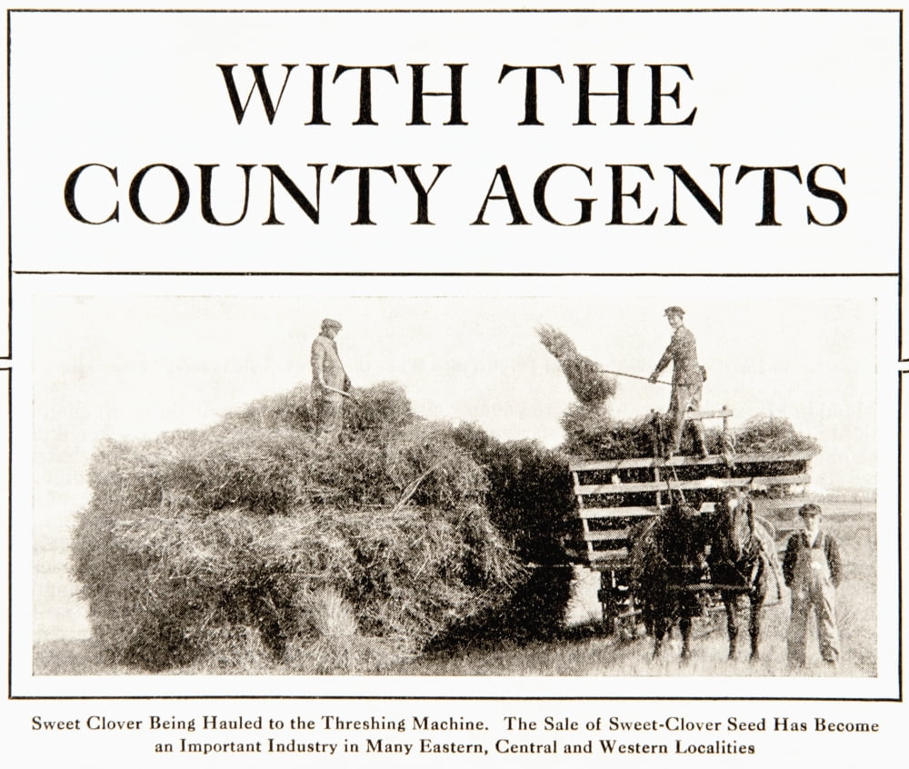 Advertisement in Country Gentleman agricultural magazine from the early 20th century Canvas Art - Remsberg Inc Design Pics (16 x 14)