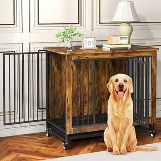 Cage End Table