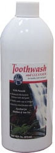 Adwe Kosher Toothwash and Gum Cleanser - Passover - 16 fl oz - image 1 of 1
