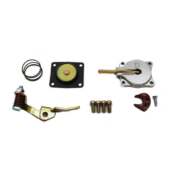 Advanced Engine Design 30cc Accelerator Pump Kit