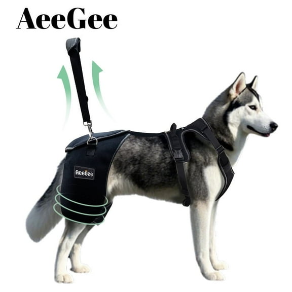 AeeGee Dog Hip Knee Brace,for Dogs with Hip Injuries or Post - Surgery Recovery,easy to Wear,Provides Support for Dog's Back and Hips