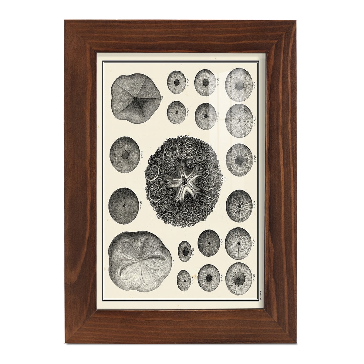 Aegean Collection I -Framed Print w/glass-Chestnut