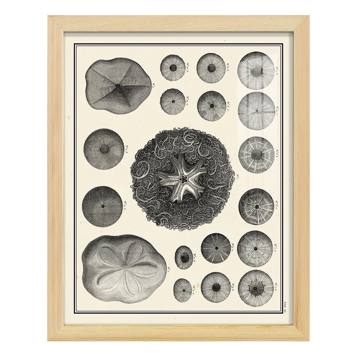 Aegean Collection I -Framed Print w/glass-Natural Wood