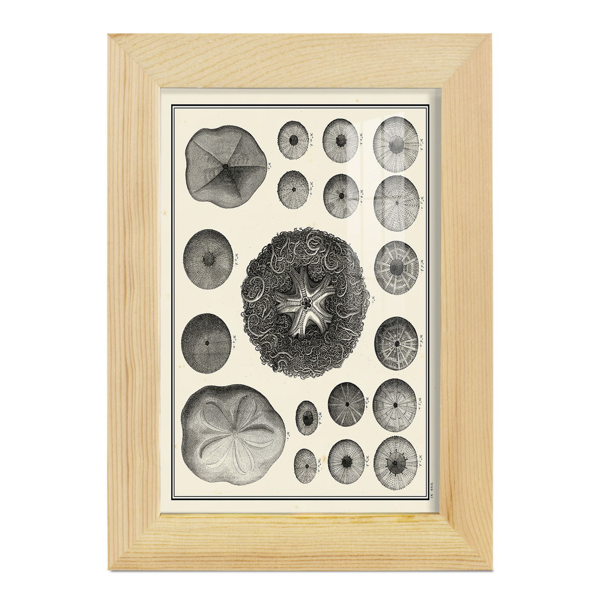 Aegean Collection I -Framed Print w/glass-Natural Wood