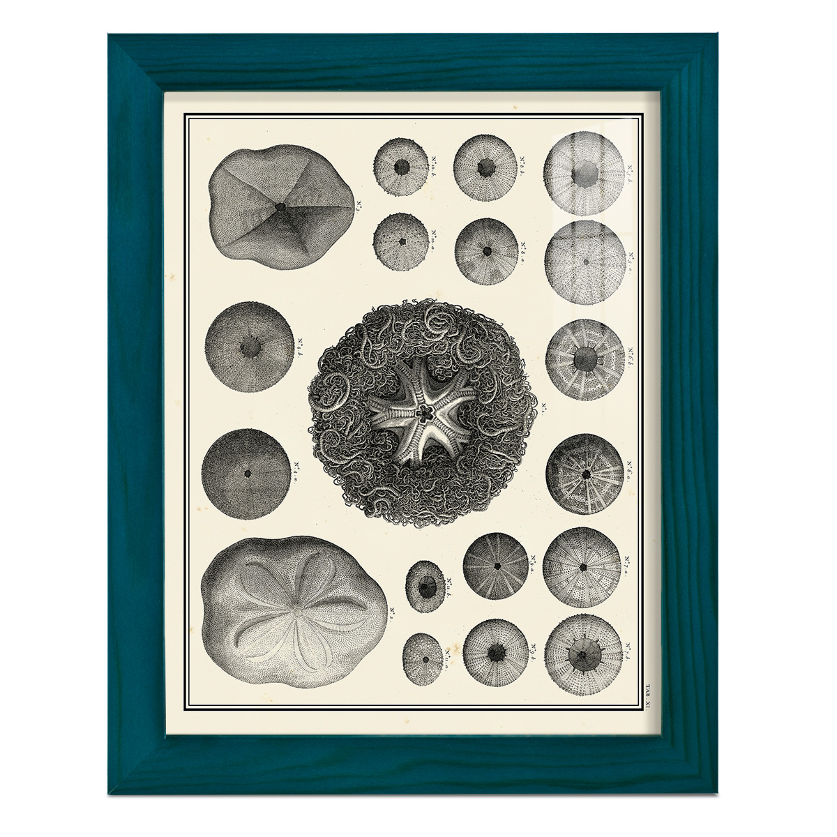 Aegean Collection I -Framed Print w/glass-Ocean Blue