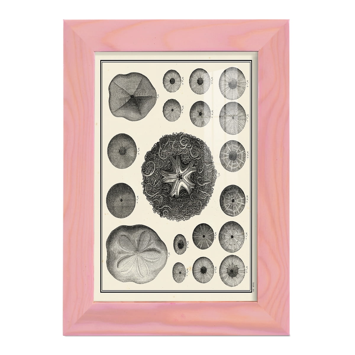 Aegean Collection I -Framed Print w/glass-Sunset Pink