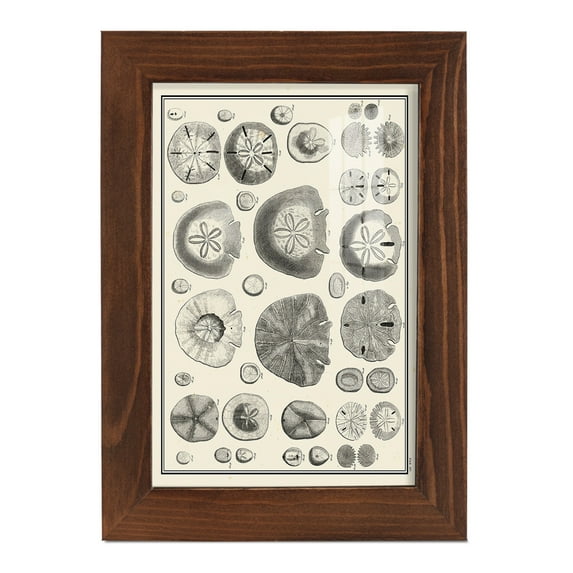 Aegean Collection II -Framed Print w/glass-Chestnut