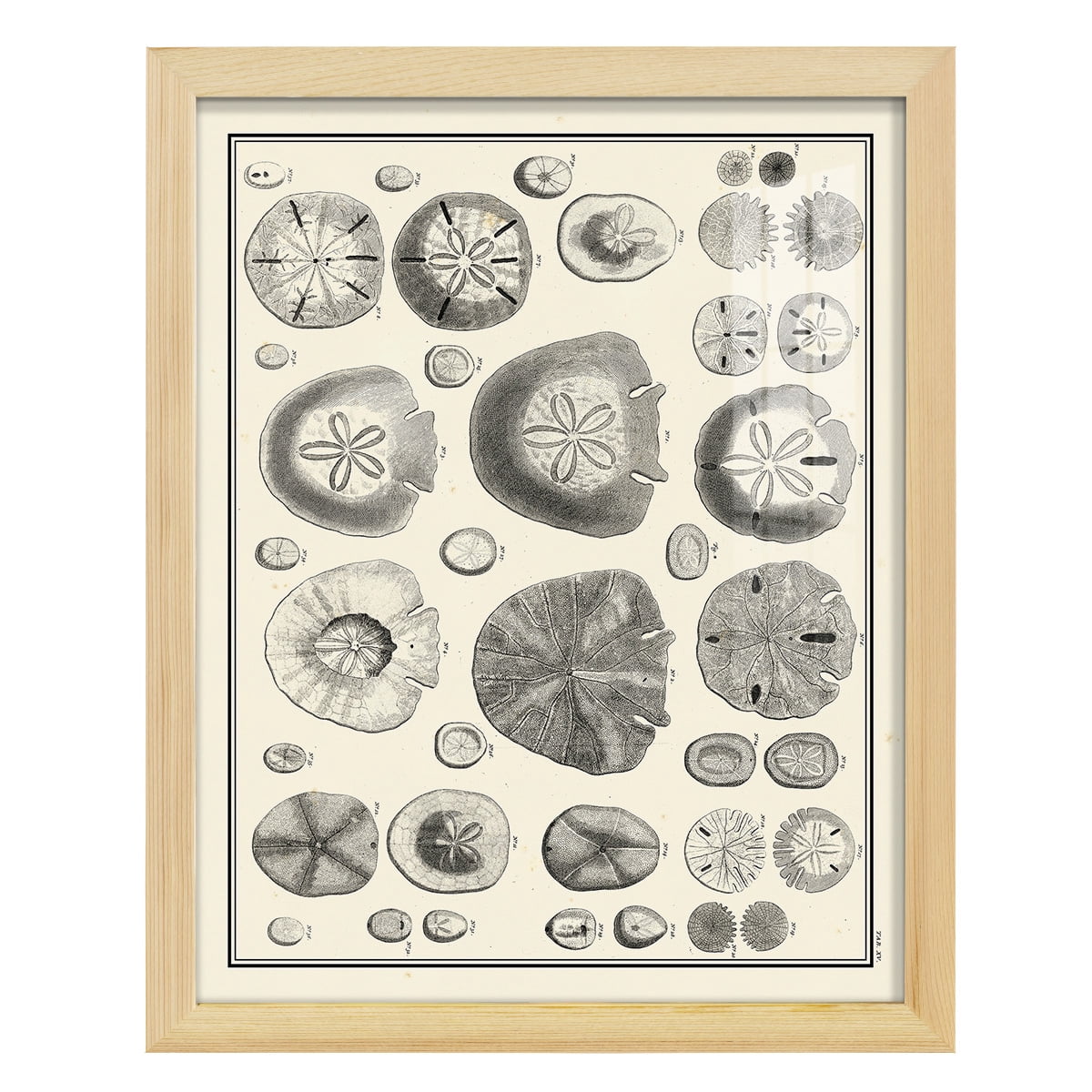 Aegean Collection II -Framed Print w/glass-Natural Wood