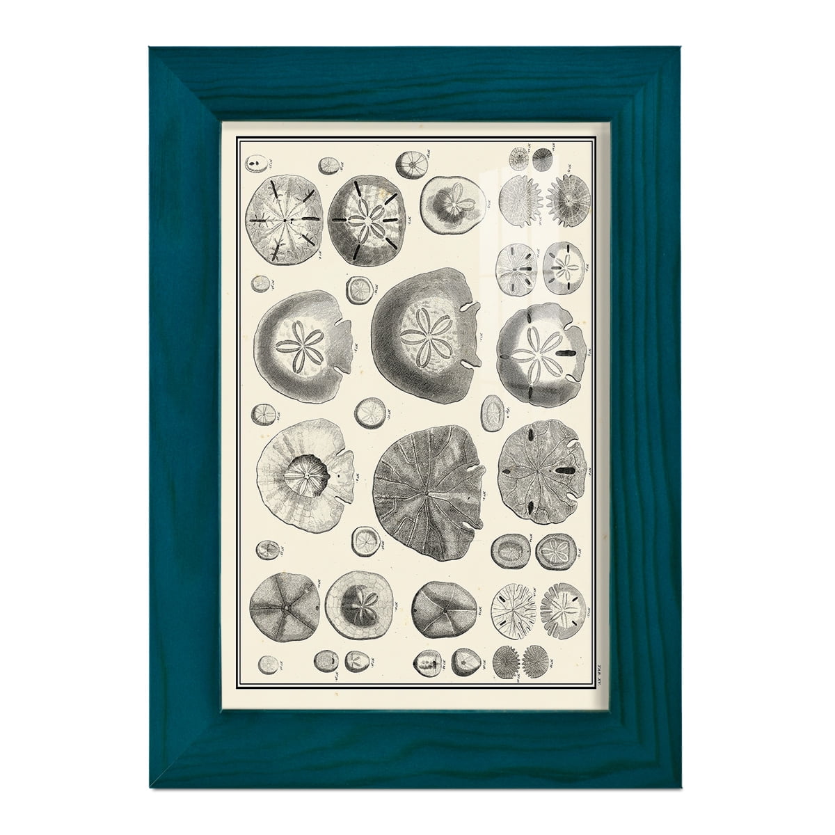 Aegean Collection II -Framed Print w/glass-Ocean Blue