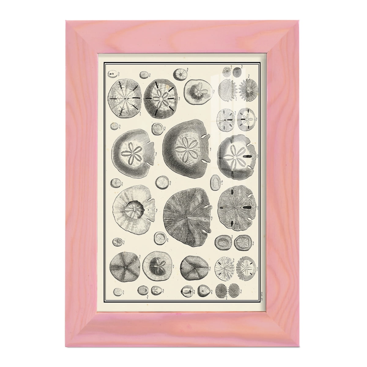 Aegean Collection II -Framed Print w/glass-Sunset Pink