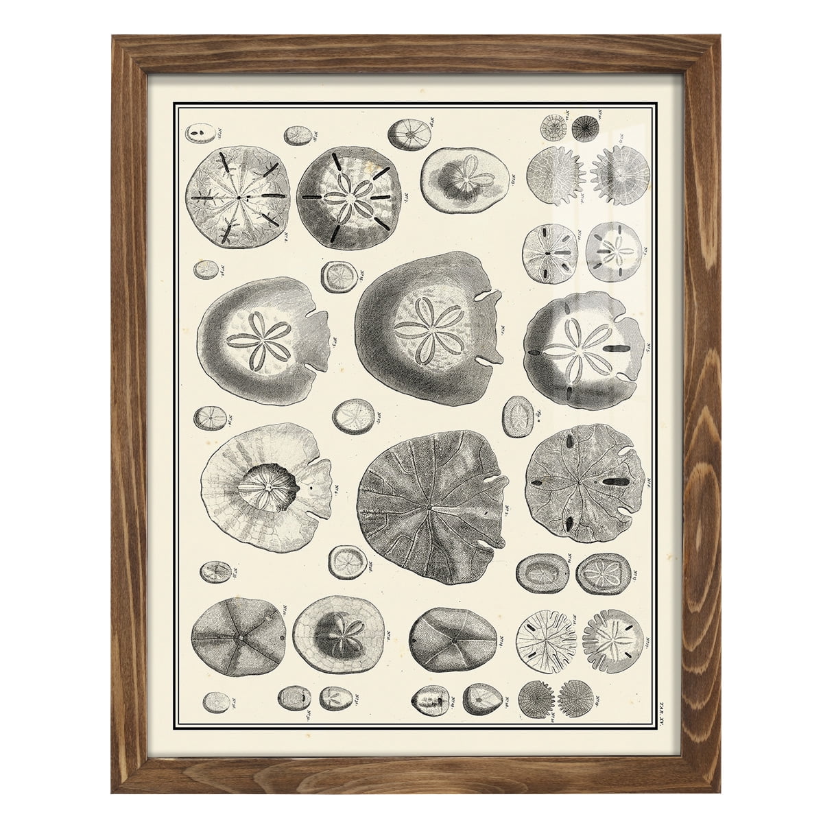 Aegean Collection II -Framed Print w/glass-Walnut