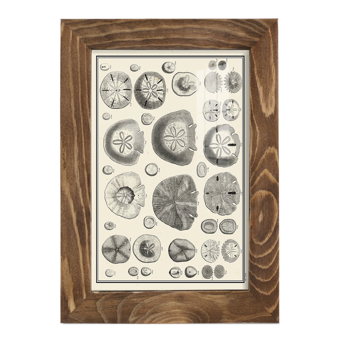 Aegean Collection II -Framed Print w/glass-Walnut