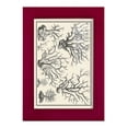 thumbnail image 1 of Aegean Collection III -Framed Print w/glass-Cherry Red, 1 of 8