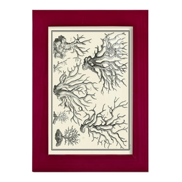 Aegean Collection III -Framed Print w/glass-Cherry Red