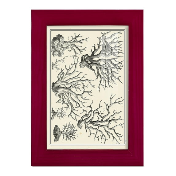 Aegean Collection III -Framed Print w/glass-Cherry Red