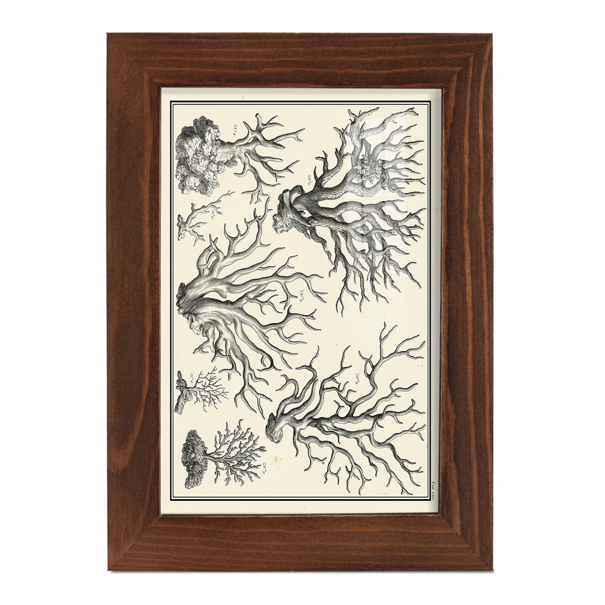 Aegean Collection III -Framed Print w/glass-Chestnut
