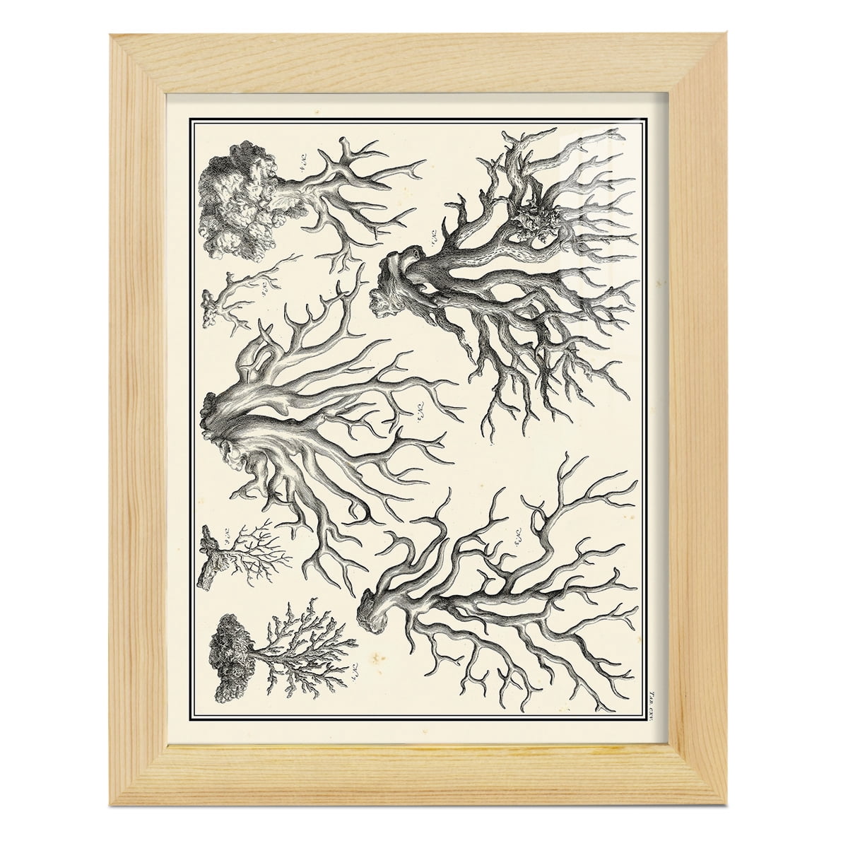 Aegean Collection III -Framed Print w/glass-Natural Wood