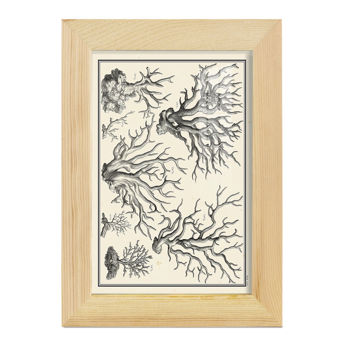 Aegean Collection III -Framed Print w/glass-Natural Wood