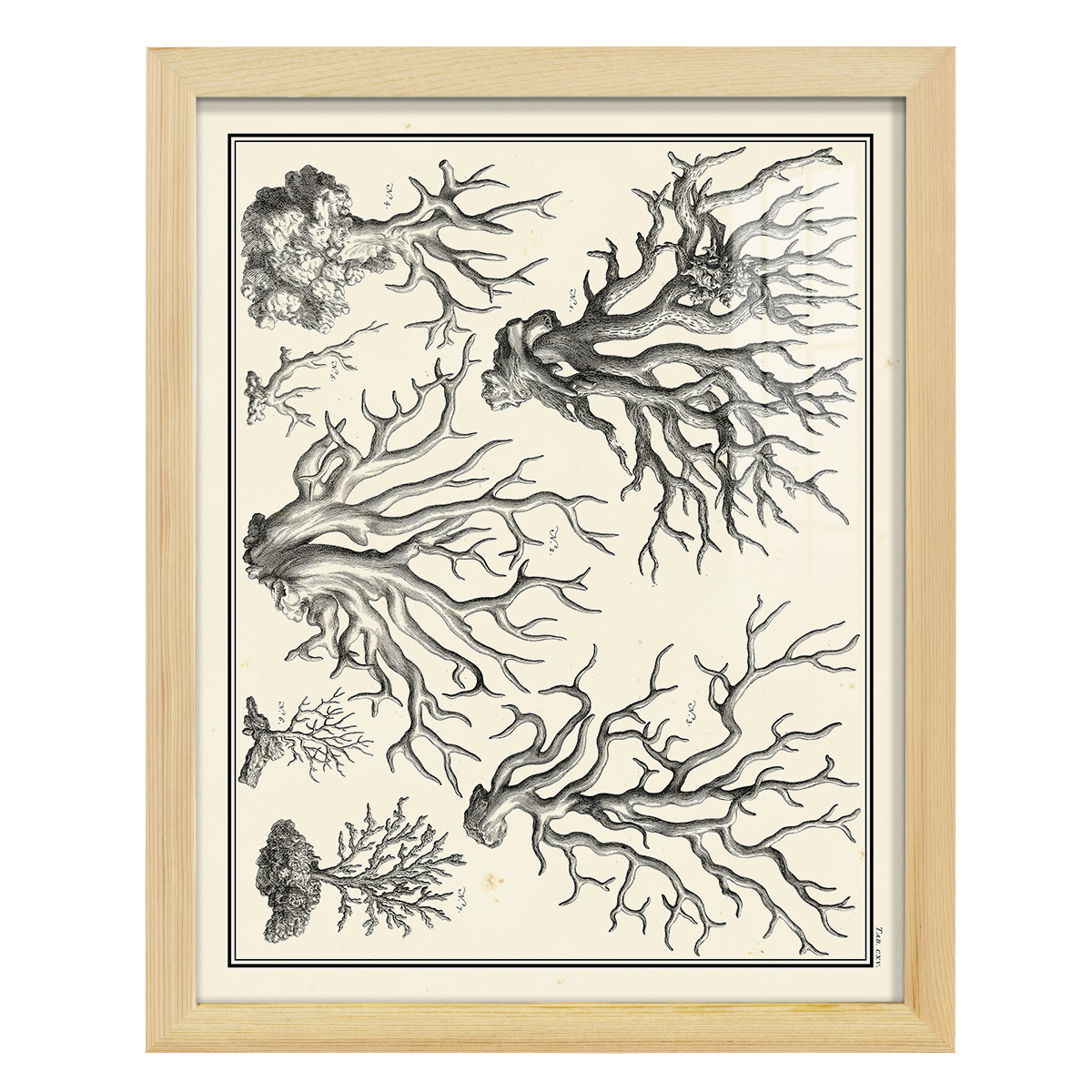 Aegean Collection III -Framed Print w/glass-Natural Wood