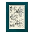 thumbnail image 1 of Aegean Collection III -Framed Print w/glass-Ocean Blue, 1 of 8