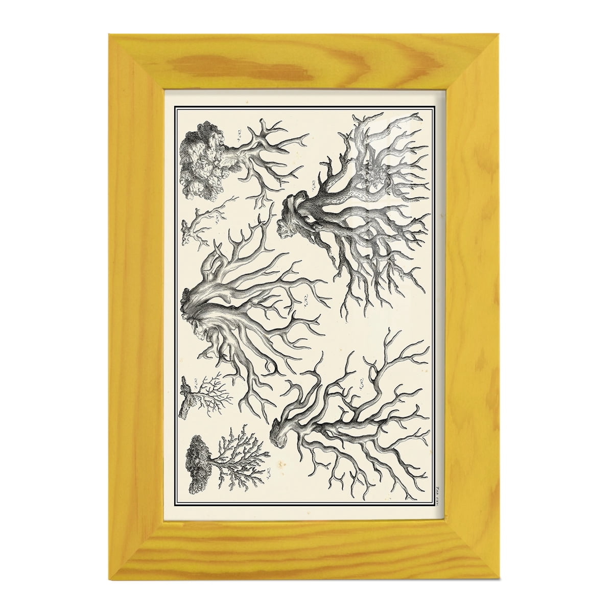 Aegean Collection III -Framed Print w/glass-Sunflower Yellow