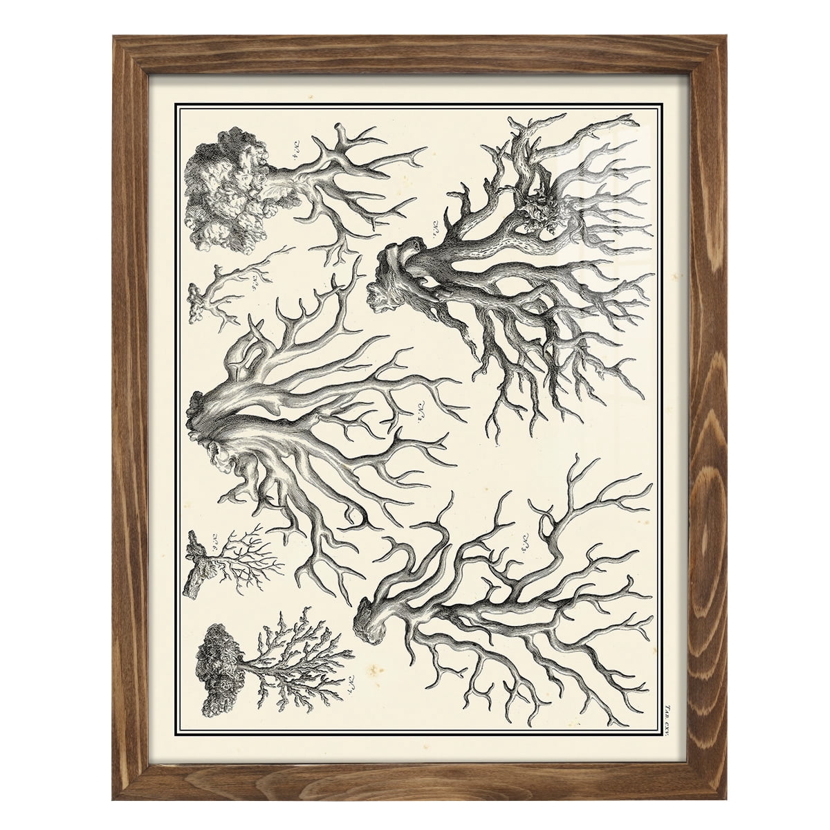 Aegean Collection III -Framed Print w/glass-Walnut