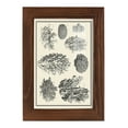 thumbnail image 1 of Aegean Collection IV -Framed Print w/glass-Chestnut, 1 of 8